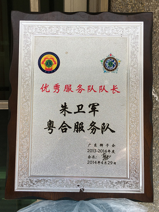 優(yōu)秀隊長